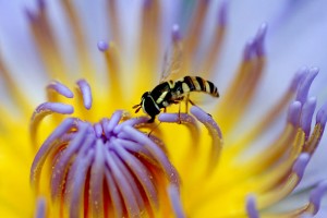 MACRO_24471