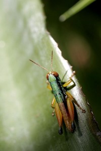 MACRO_8434