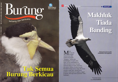 MajalahBurung
