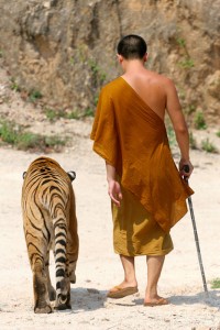 TIGERTEMPLE_7221