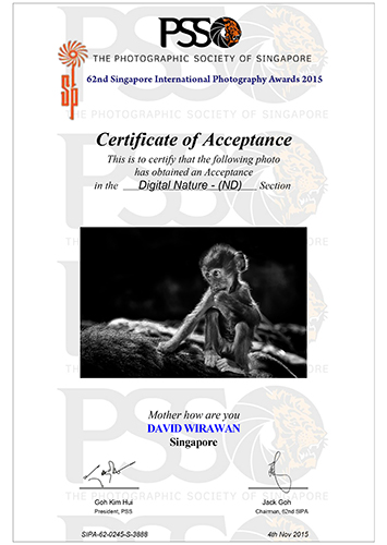 PSS_Certificate NC Mother How Are You