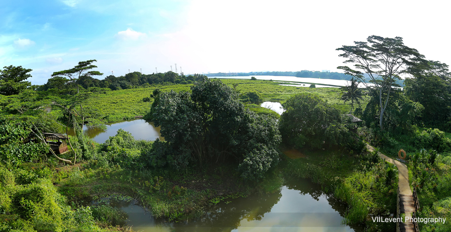 KranjiMarshes