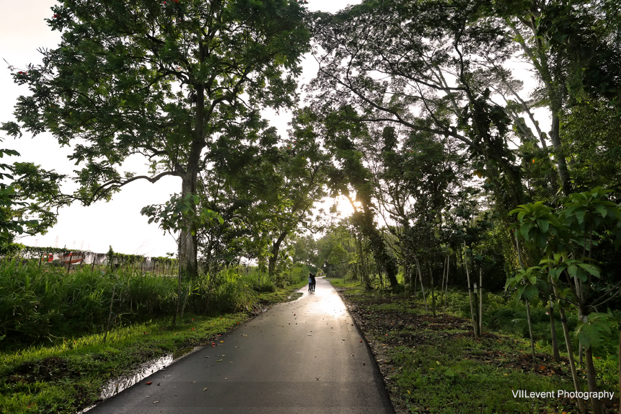 KranjiMarshes_0123