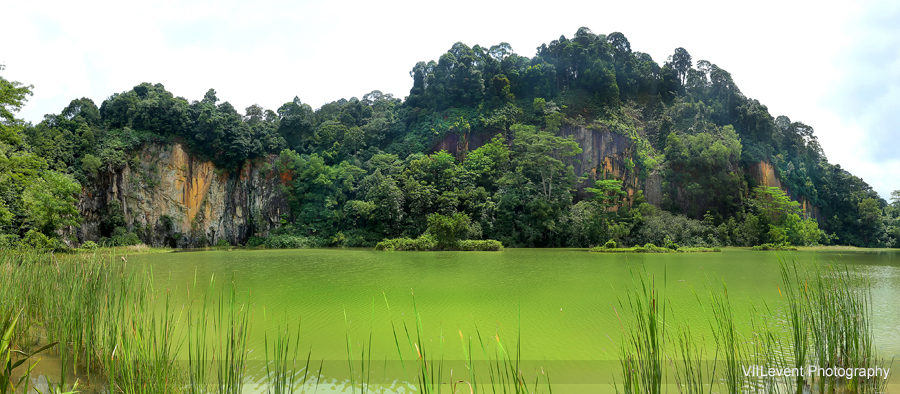 Dairy Farm Nature Park, Singapore Quarry