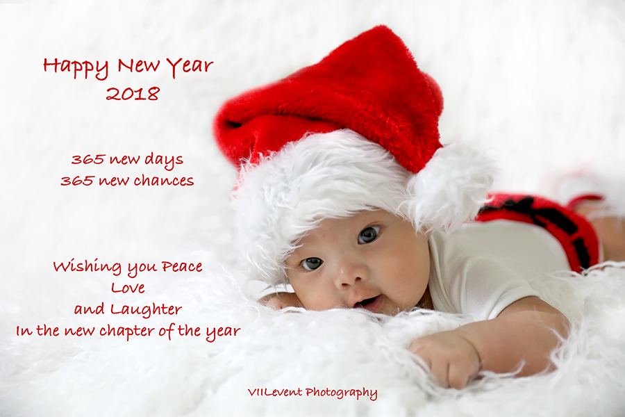 Merry Christmas and Happy New Year 2018